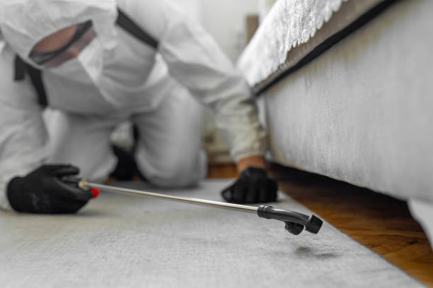 Professional Bed Bug Control technician working in Rio, WI